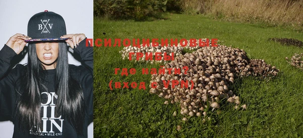 альфа пвп Богородицк