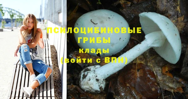 мдма Богданович