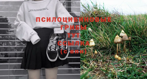 альфа пвп Богородицк
