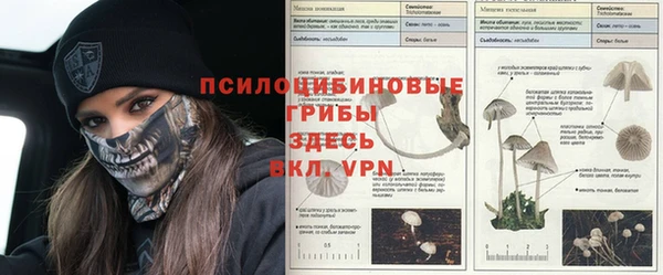 2c-b Белокуриха