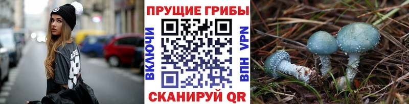 Псилоцибиновые грибы ЛСД Котельнич