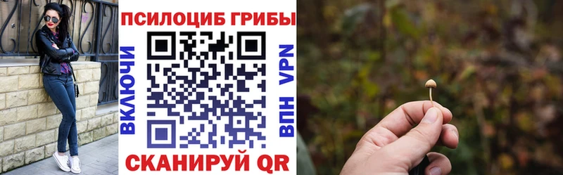 Псилоцибиновые грибы мицелий  мега ONION  Котельнич 