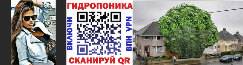 Каннабис THC 21%  цена наркотик  Котельнич 